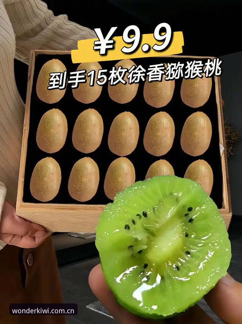 资深用户分享：奇异果体育安装包评测实战经验，新手必看的使用心得