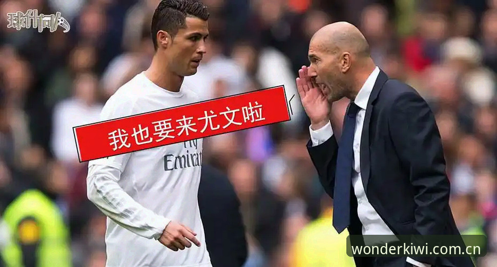 体育总监处理更衣室冲突实战教程：从拉比奥签约到斗殴事件的全流程解析