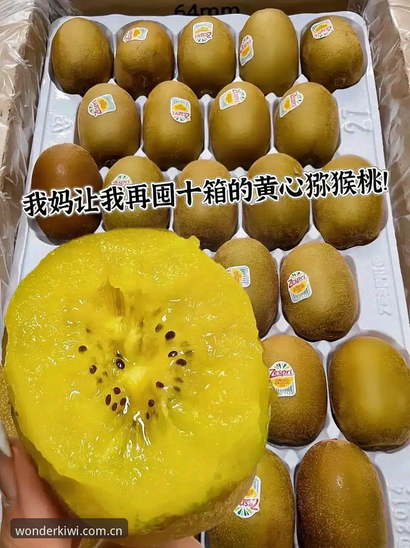 资深用户分享：奇异果体育安装包评测实战经验，新手必看的使用心得