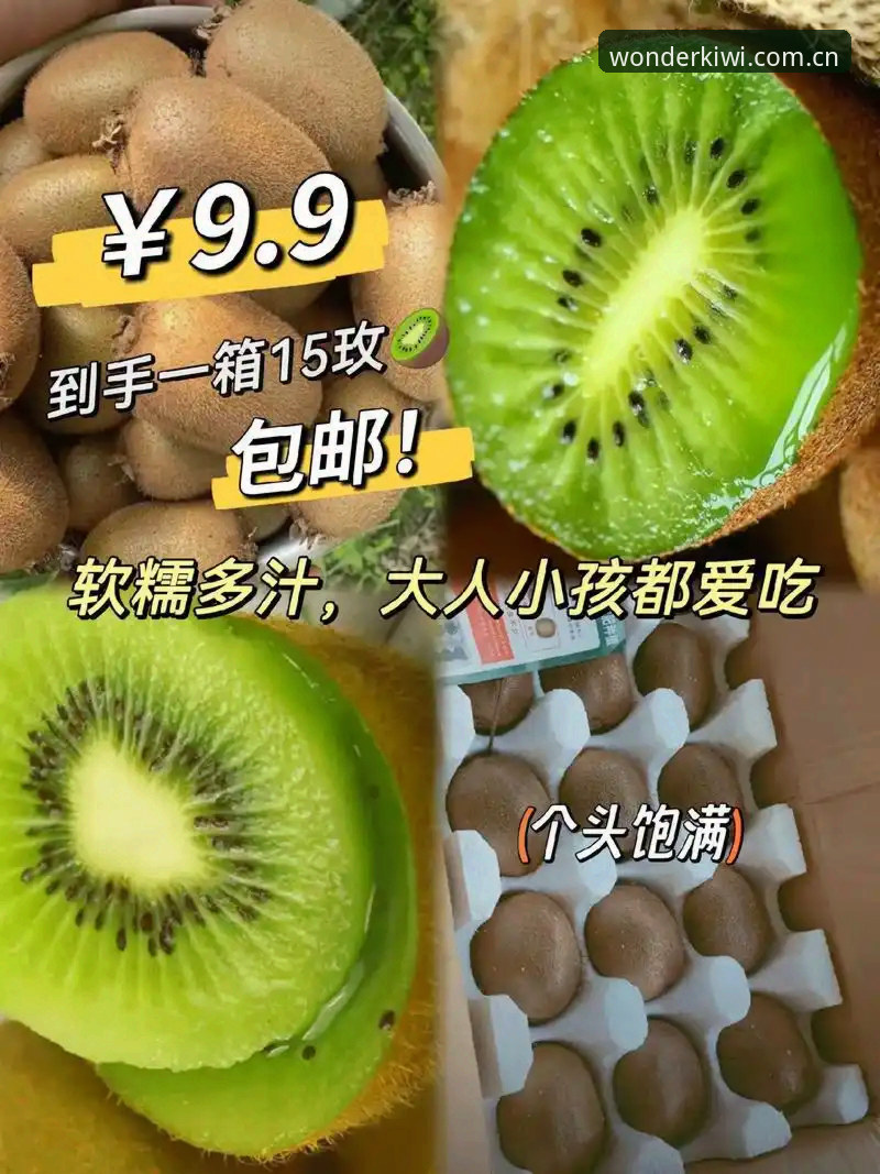 奇异果体育安全性深度分析：从数据加密到用户反馈的全面解析